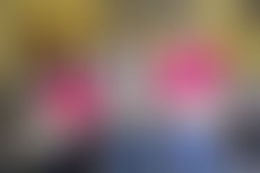 ENTREGA DO KIT ALIMENTAÇÃO ESCOLAR FOI INICIADA