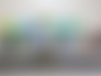 Secretária Municipal de Assistência Social Realiza VIII Conferência Municipal de Assistência Social