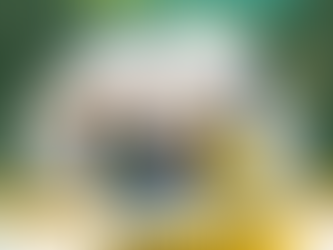 RETORNO DAS AULAS 100% PRESENCIAIS DA REDE MUNICIPAL DE ENSINO DE BELO CAMPO