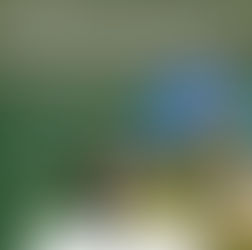 VAGAS ABERTAS PARA O SEMINÁRIO DE VOLUMOSO COMO ALTERNATIVA NA NUTRIÇÃO DE BOVINOS LEITEIROS