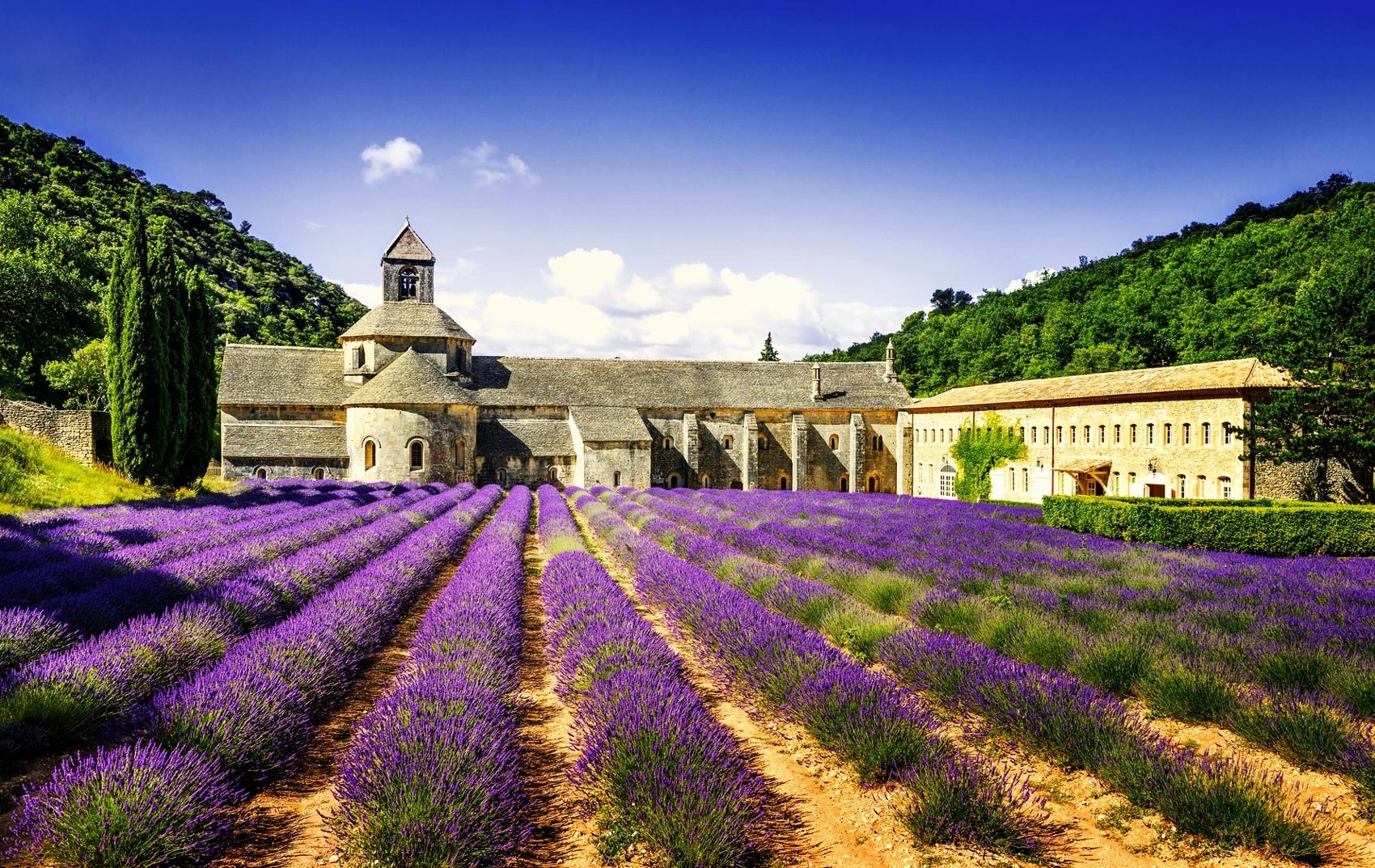 abbey-senanque.webp