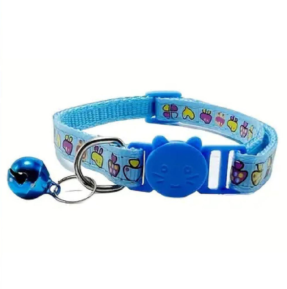 Miniature : Présentation du Collier chat chaton avec grelot