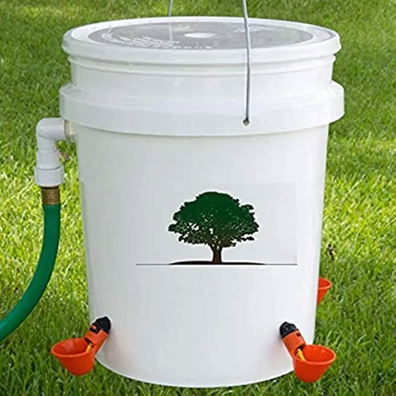 Miniature : Abreuvoir poule