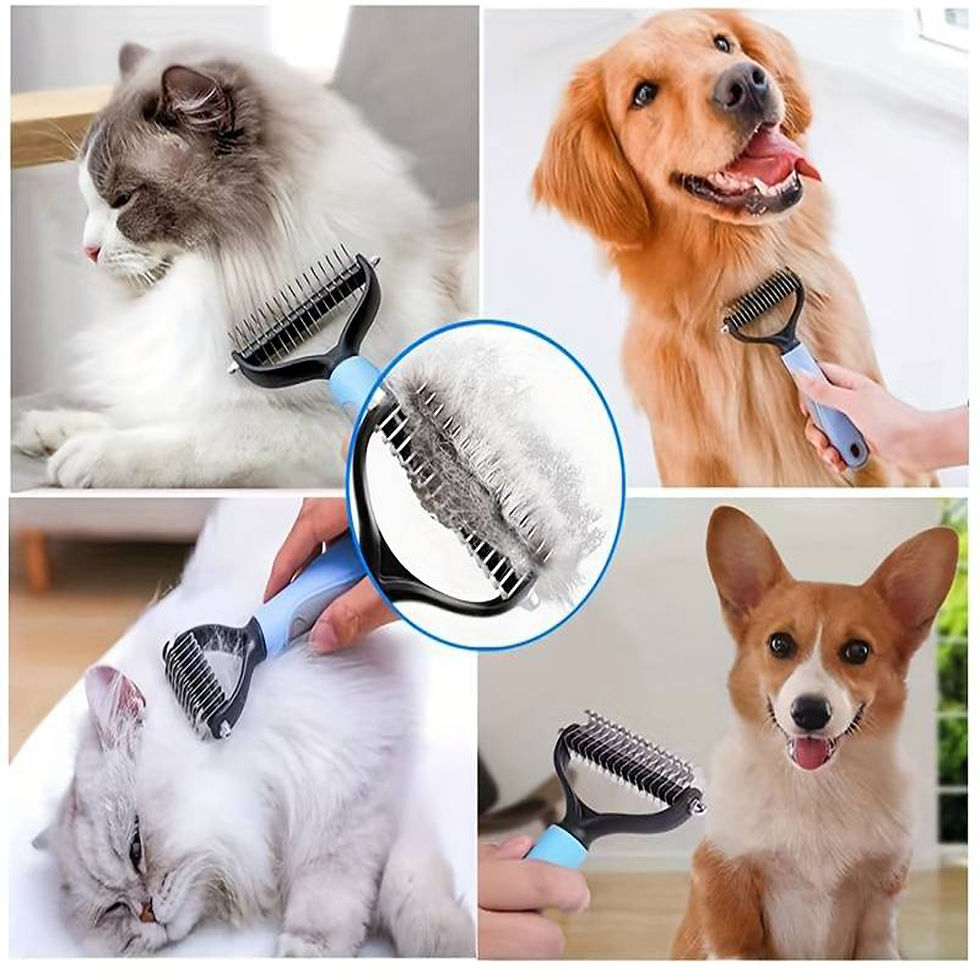Brosse anti nœuds chien chat pour démêler efficacement les poils