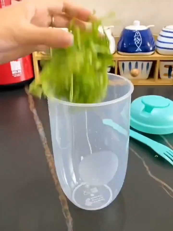 Miniature : Présentation du Bol à salade