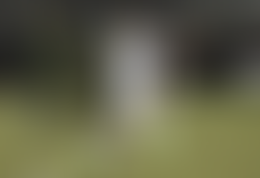 Minnesota Utd v Dallas