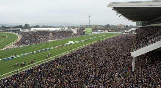 4:50pm - Cheltenham