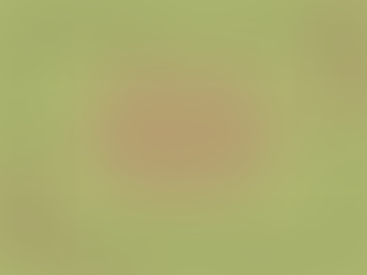 The Impact of Cleanliness on Employee Health & Well-Being