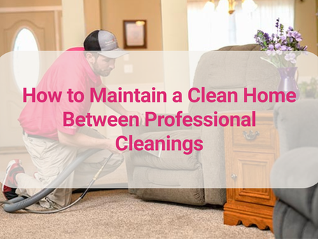 How to Maintain a Clean Home Between Professional Cleanings