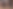 music&movement.png