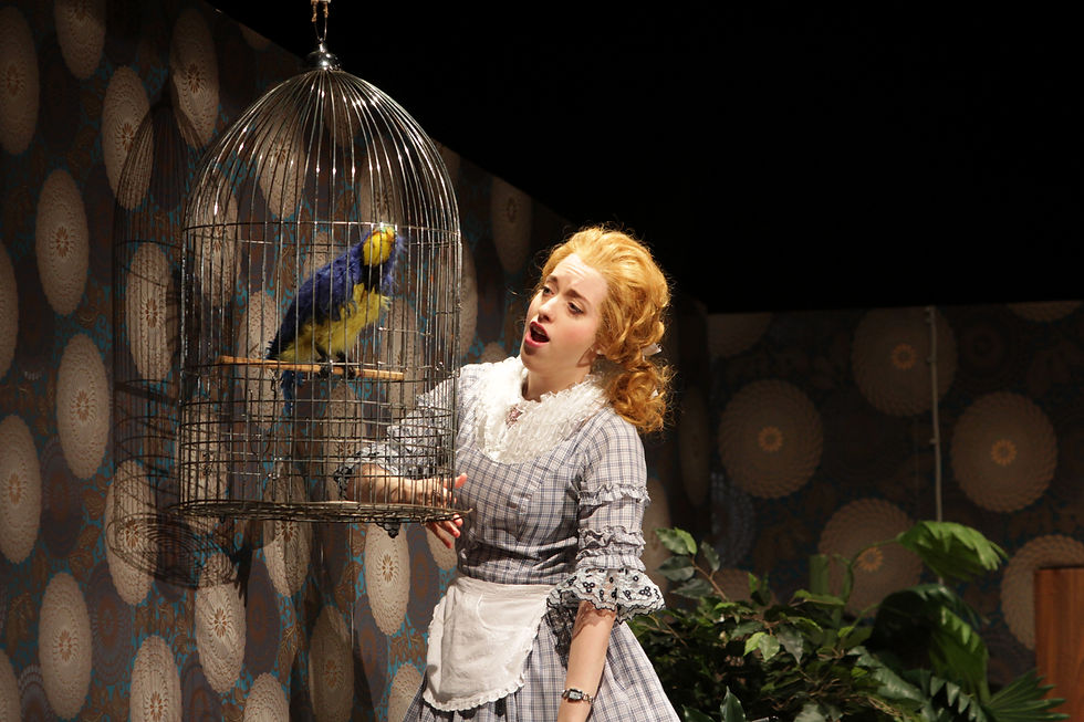 Die Fledermaus