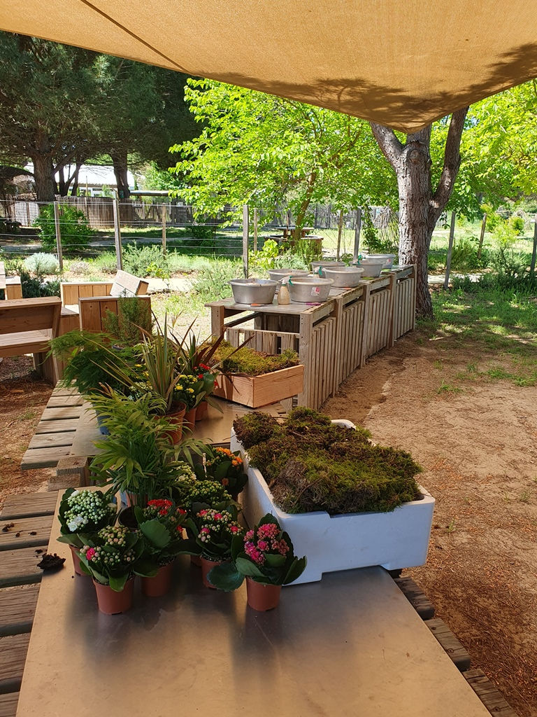 Kokedama(c)mfsouchet