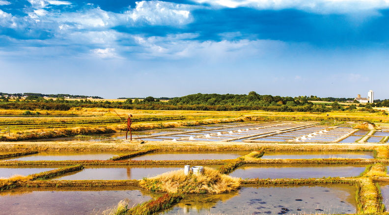 Mornac sur Seudre Marais salan ©Thierry Avan
