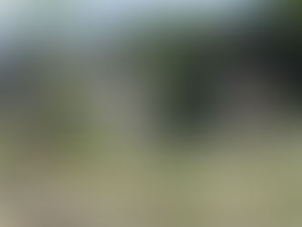 Bagnoles de l’Orne, le B’O  rendez-vous Bien-Être 