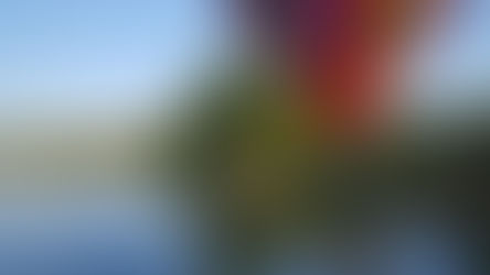 Idées cadeaux pour lui