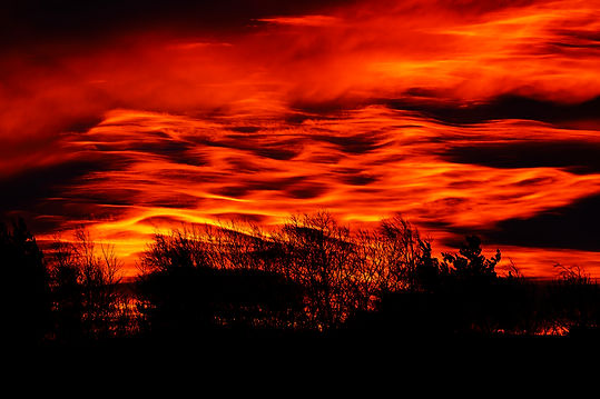Shepherds' Warning BG.jpg