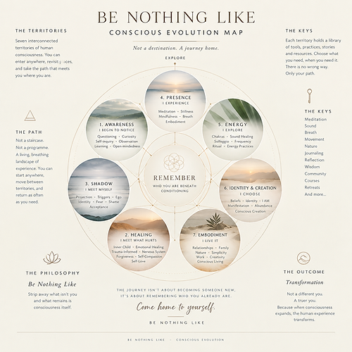 Be Nothing Like Conscious Evolution Map V2.png