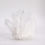 Miniatura: Full Moon Clear Quartz Crystal Cluster