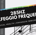 285Hz Pure Tone Solfeggio Frequency For Physical Healing, Tissue + Internal Organs for Optimal Bodily Health