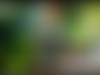 What does it mean to be a Spiritual Punk ? - Spirituality for men, for blokes.