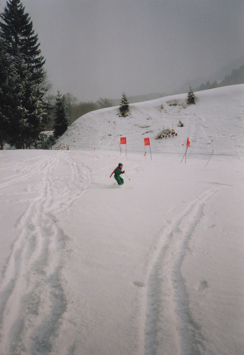 Skiër op een besneeuwde helling, originele scan ter vergelijking met de geoptimaliseerde versie