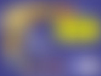 O que esperar dos novos eleitos?