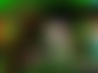 Roraima: campanha “Voto Consciente” nas redes sociais