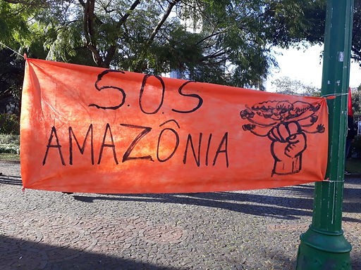 Rezar pela Amazônia e defender a Vida no Planeta!