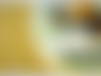 Ilê Ilê Ilê, em mutirão construindo o bem viver