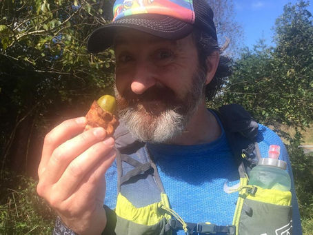 Pilot Mountain to Hanging Rock 50 miler  2018 (video)