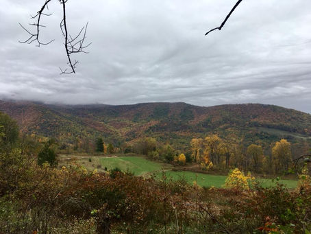 Mountain Masochist 50 Mile Trail Run 2017 (video)