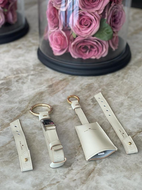 Luxury Leather Travel & Tech Products for Women