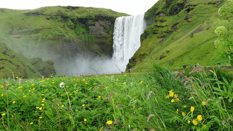 ये डे, वो डे