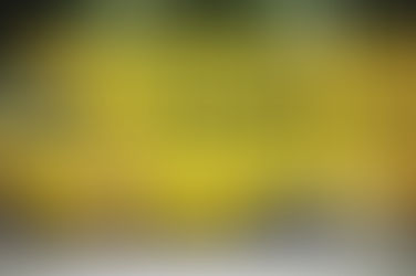 Jenny Giang (Spr '06) Opens 4th Restaurant in Downtown Boston