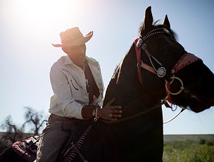 cowboy-silhouette-with-horse-against-warm-light_23-2149334113.jpg