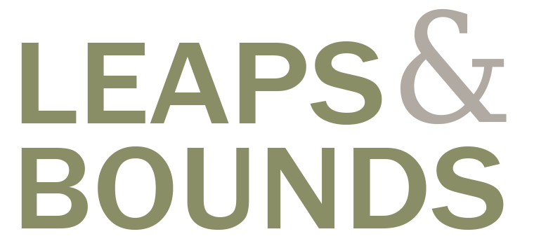 Leaps and Bounds logo.png