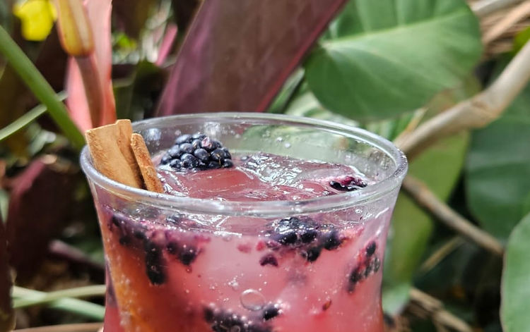 Christmas Shrub Mocktail