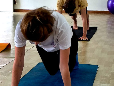 Transformative wellness retreat at Om Ashram surrounded by the majestic Himalayas