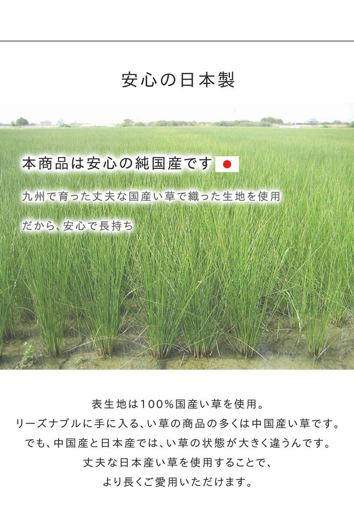 縮圖：日牌 Ikehiko 日本製 IGUSA九州燈心草 防滑廚房地墊 60cm x 240cm