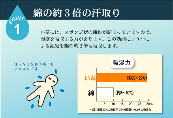縮圖：日牌Ikehiko 日本製天然無染素肌草蓆墊（帶中綿）88cm × 205cm