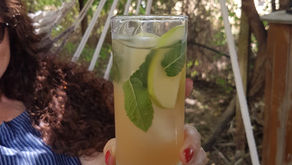 Refreshing Herbal Infusions: 6 Iced Tea Recipes to Beat the Heat