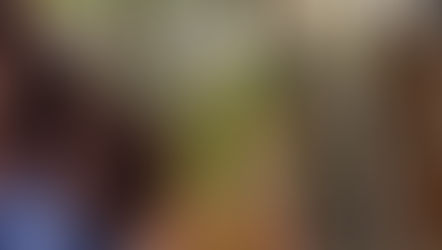 Refreshing Herbal Infusions: 6 Iced Tea Recipes to Beat the Heat