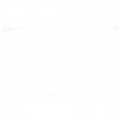 CIIE LOGO.png