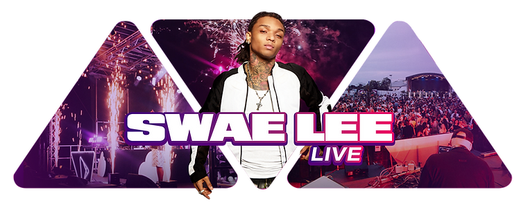 Dreiecke_SWAE_LEE_transparent.png