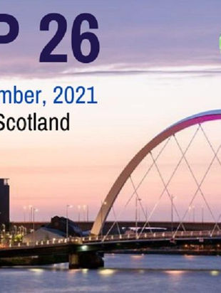 Why the climate summit in Glasgow will not change anything and what do we need to do?