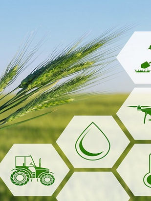 2021 Onwards - Hot Trends for Investing in AgriFood