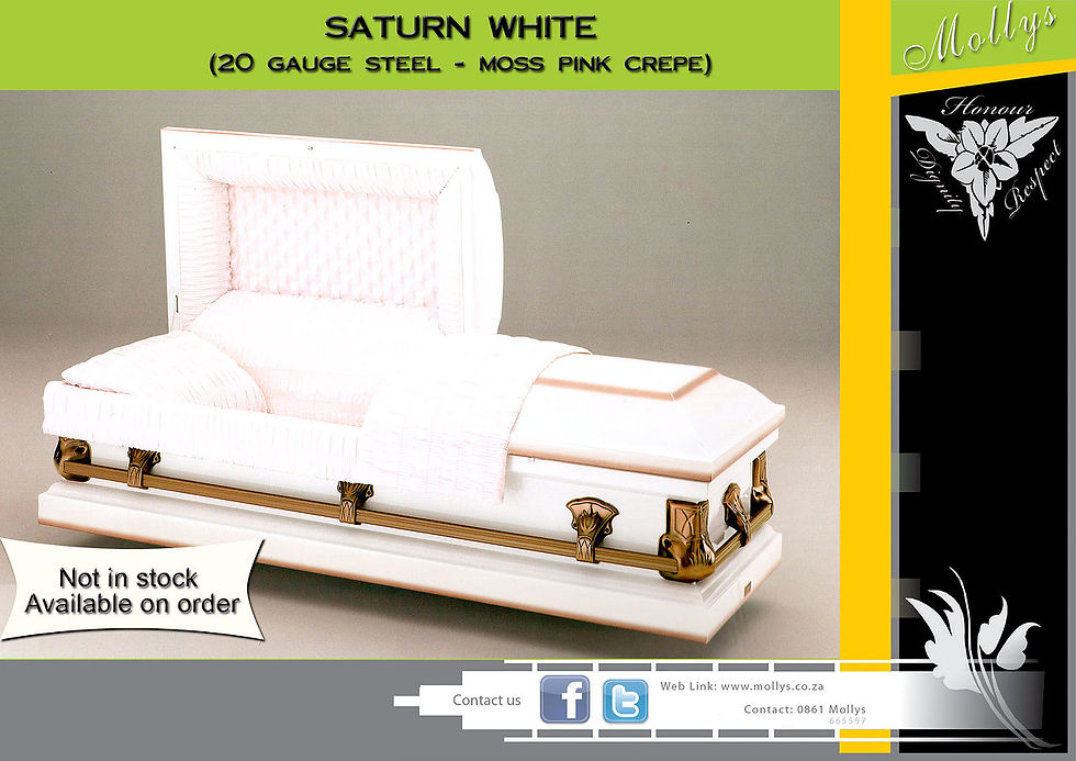 saturn white.jpg