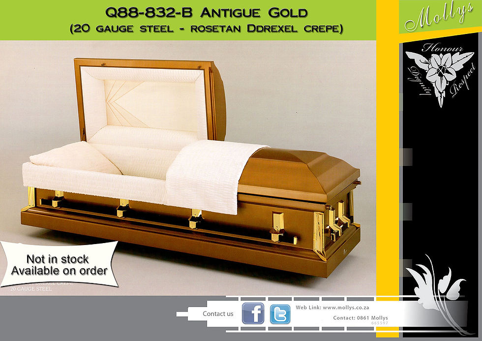 Imported Caskets-copy1 | Mollys Funeral Home