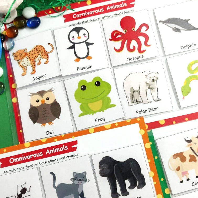 Thumbnail: Animal Adventures Book