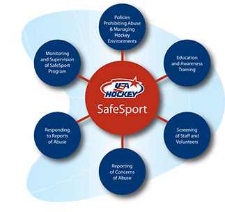 SafeSport_large.png